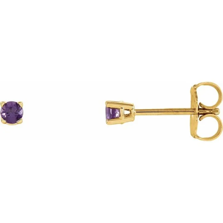 14K Yellow 2.5 mm Natural Amethyst Stud Earrings