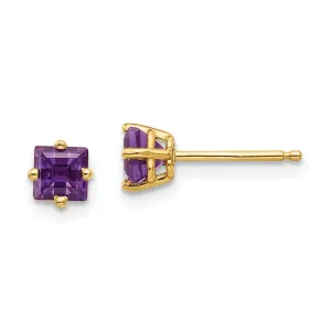 14k Yellow Gold 4MM Princess Cut Amethyst Earring