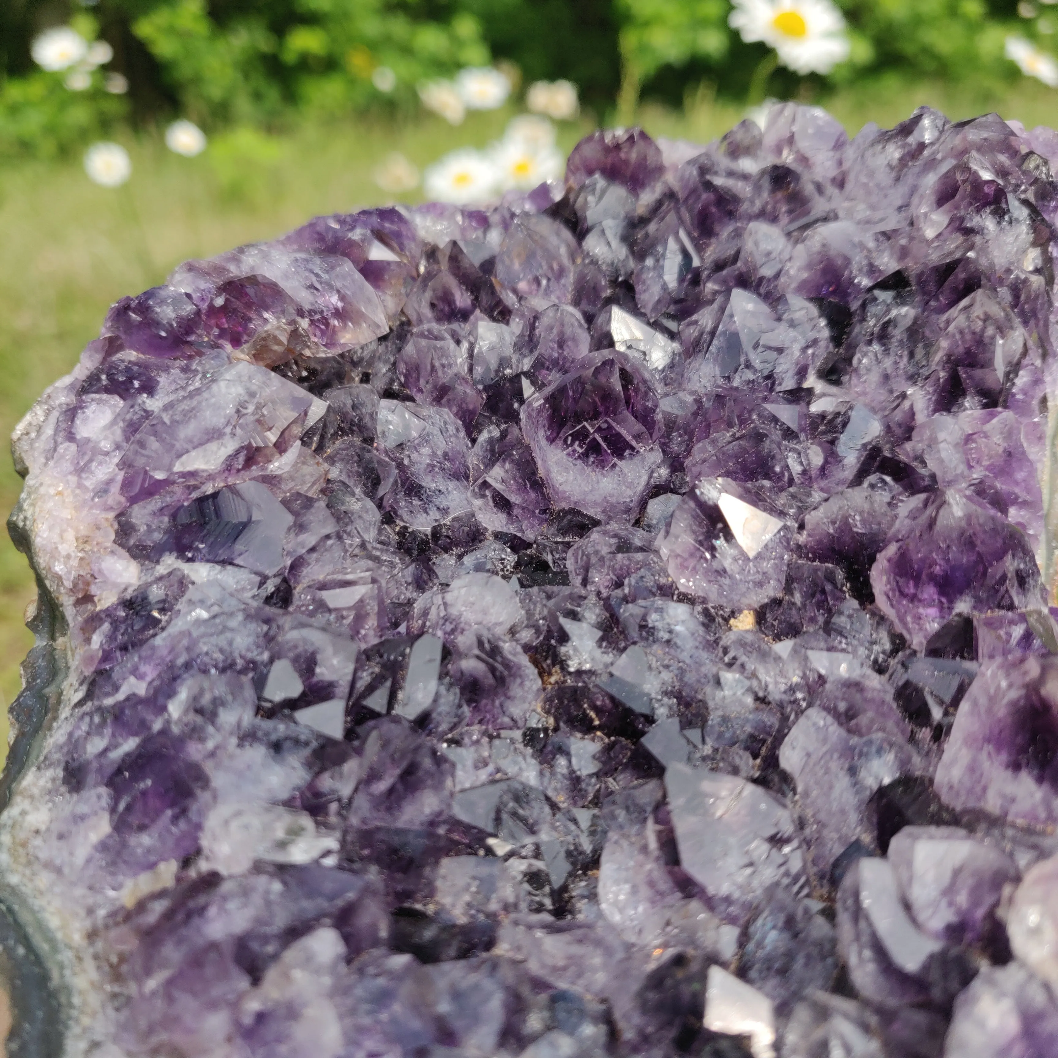 Amethyst Cluster (#10A)