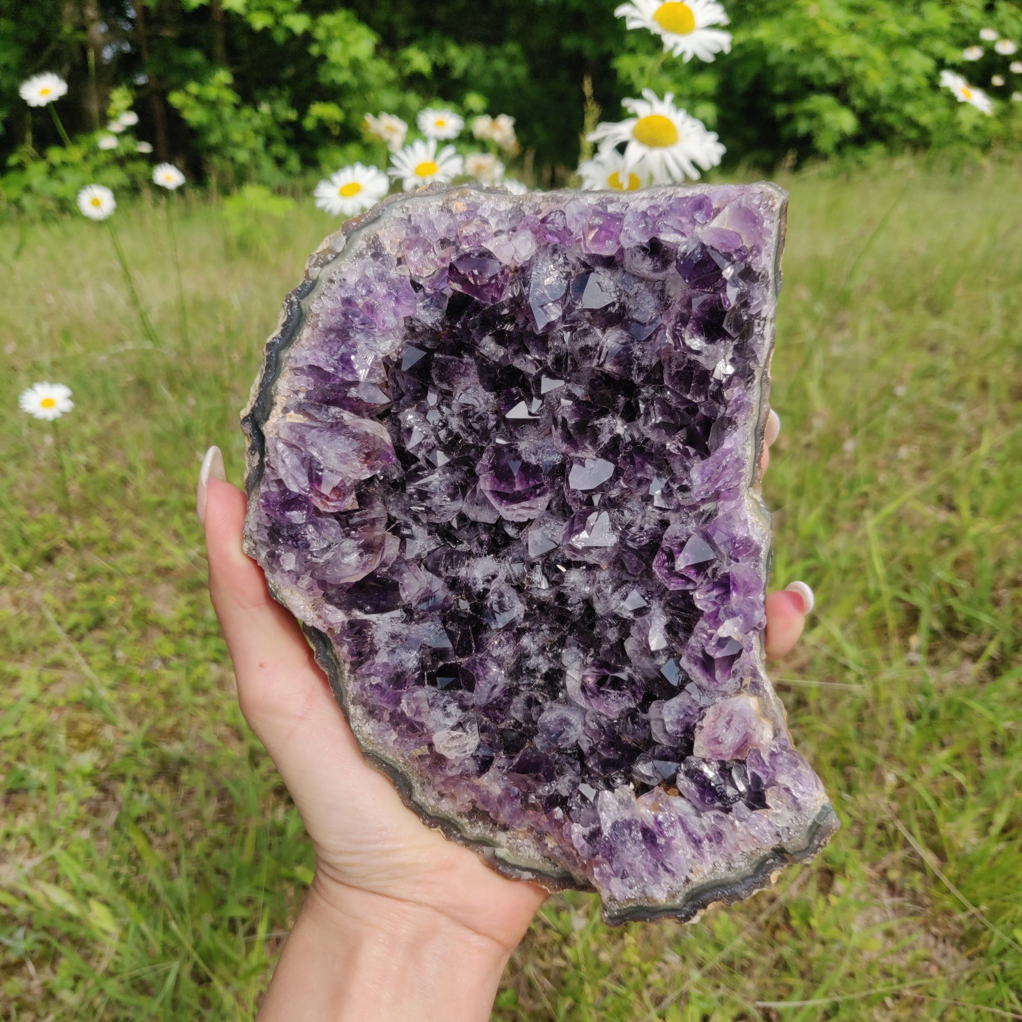 Amethyst Cluster (#10A)