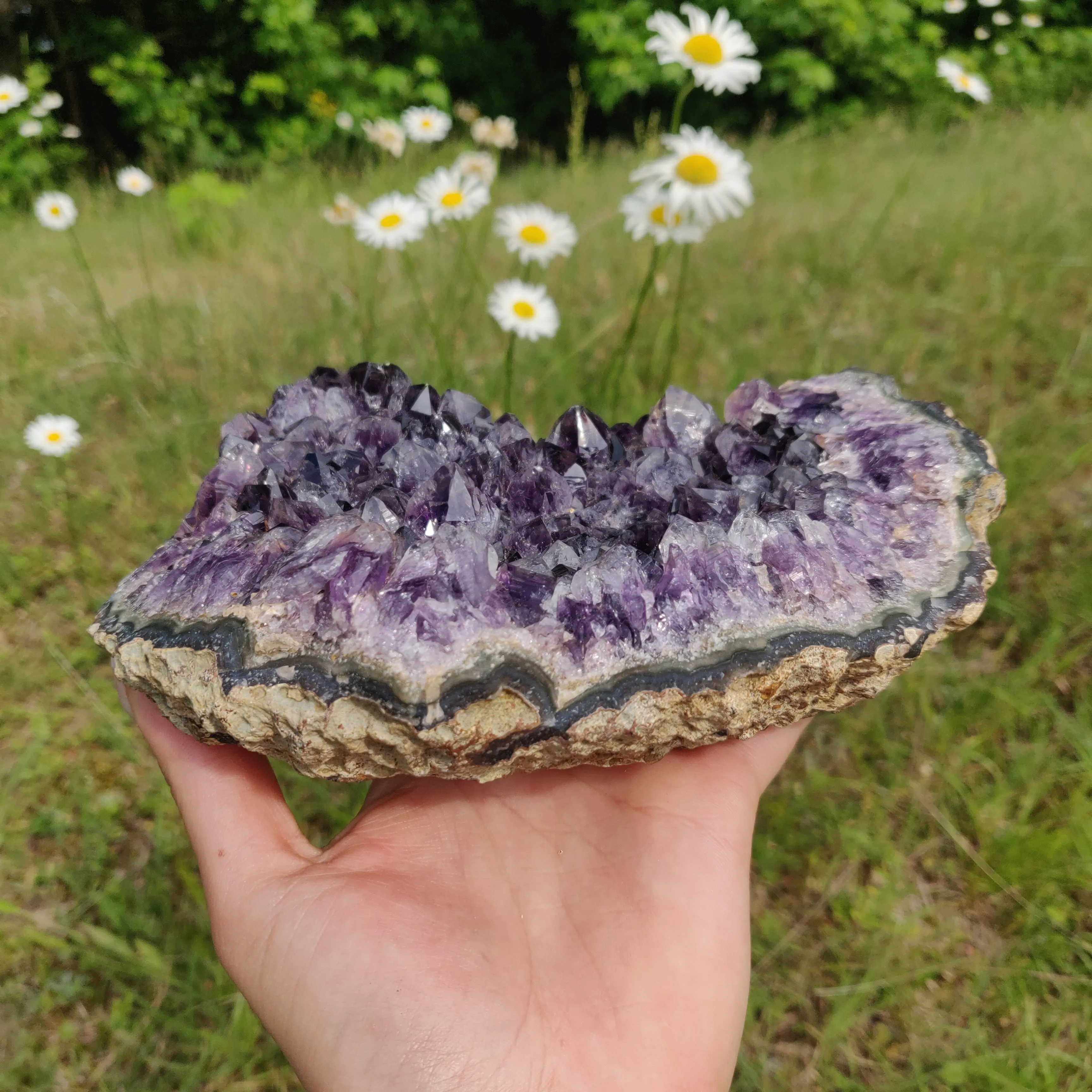 Amethyst Cluster (#10A)