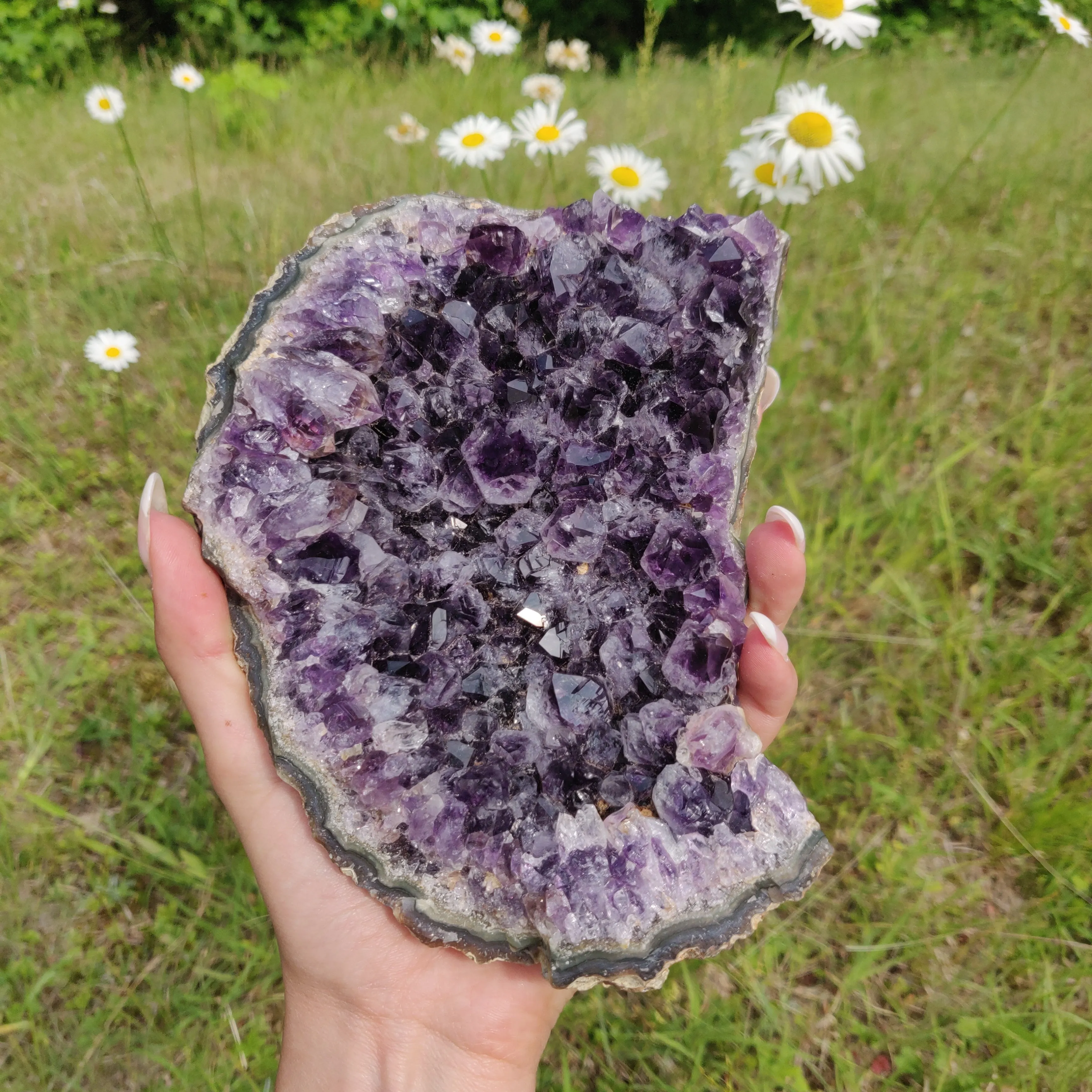 Amethyst Cluster (#10A)