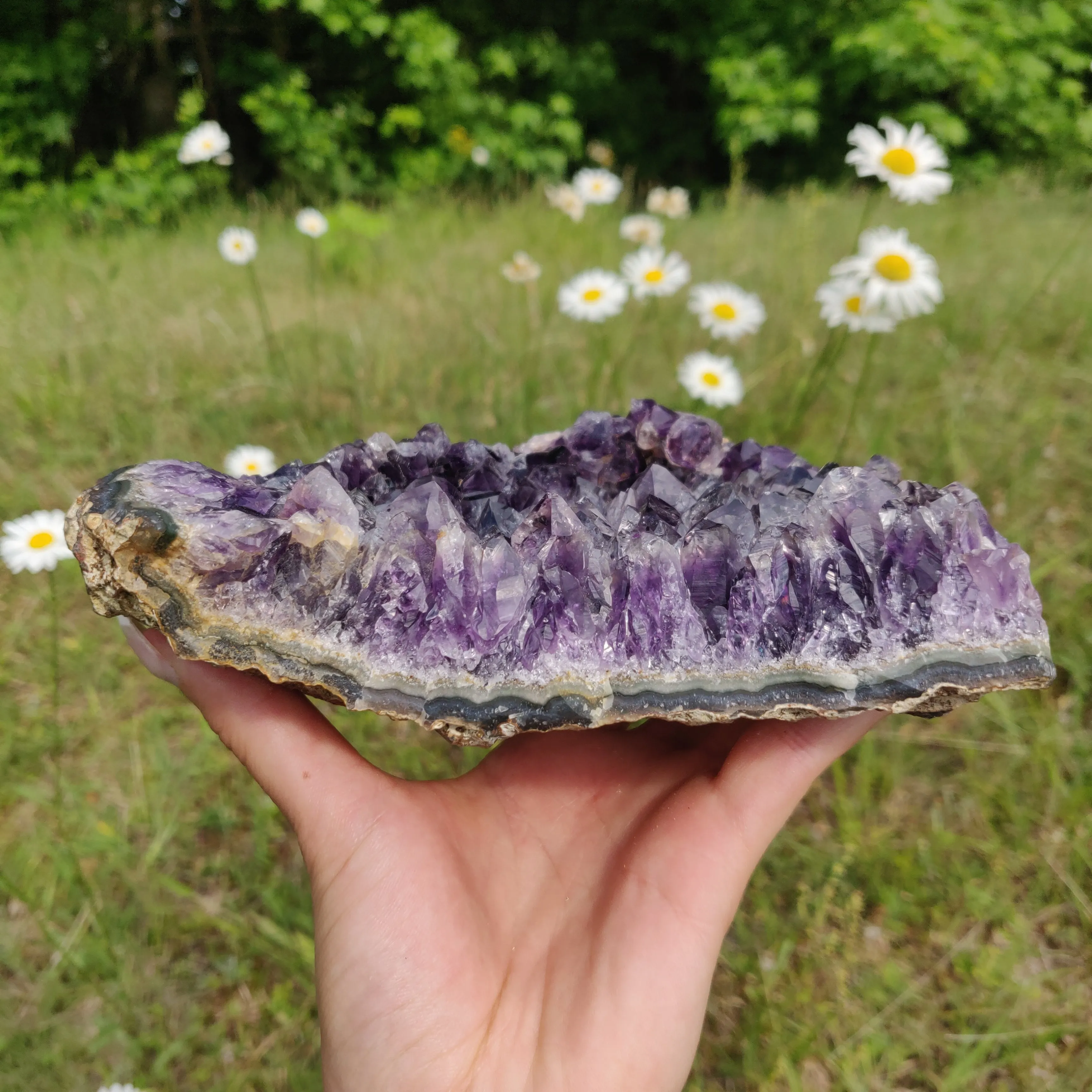 Amethyst Cluster (#10A)