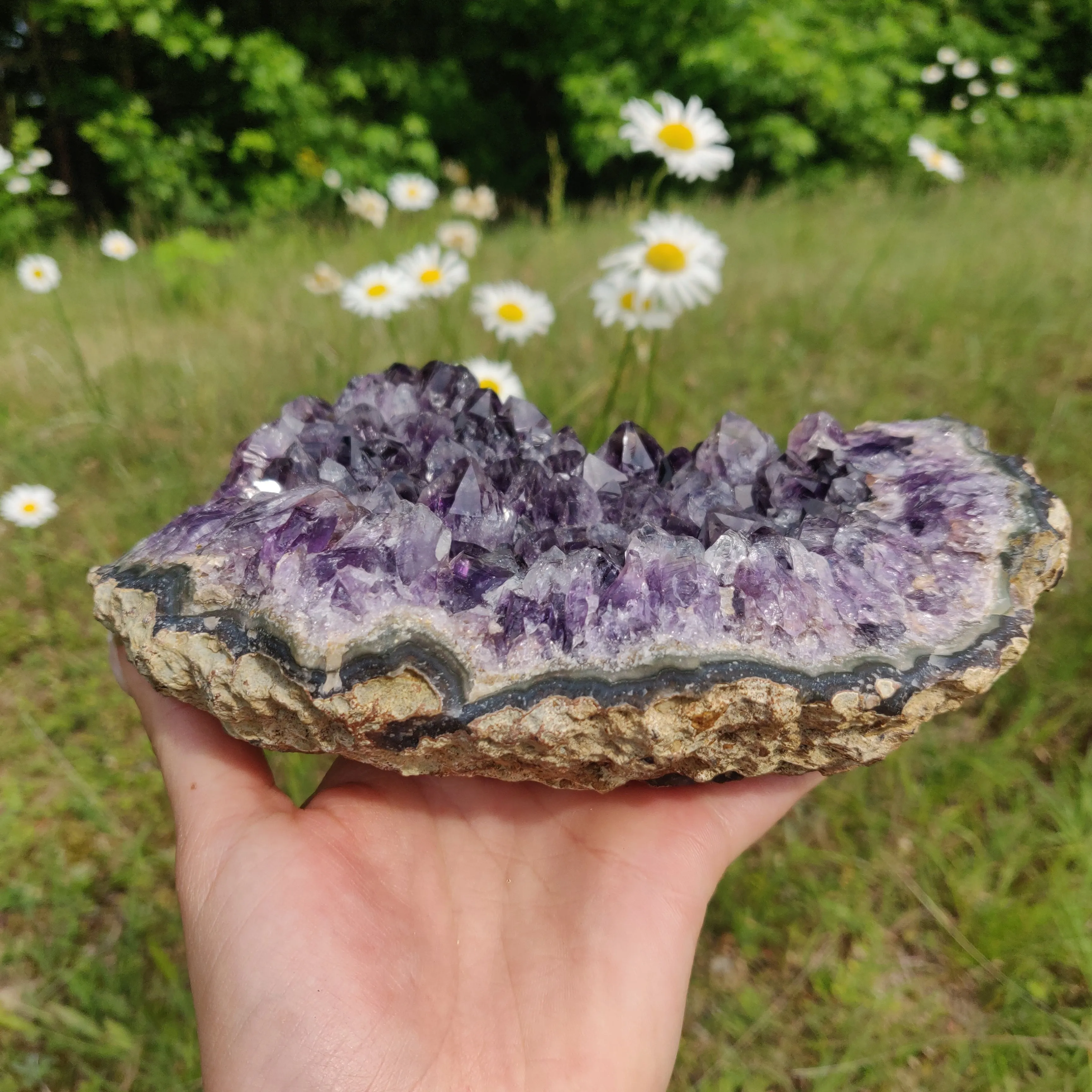 Amethyst Cluster (#10A)