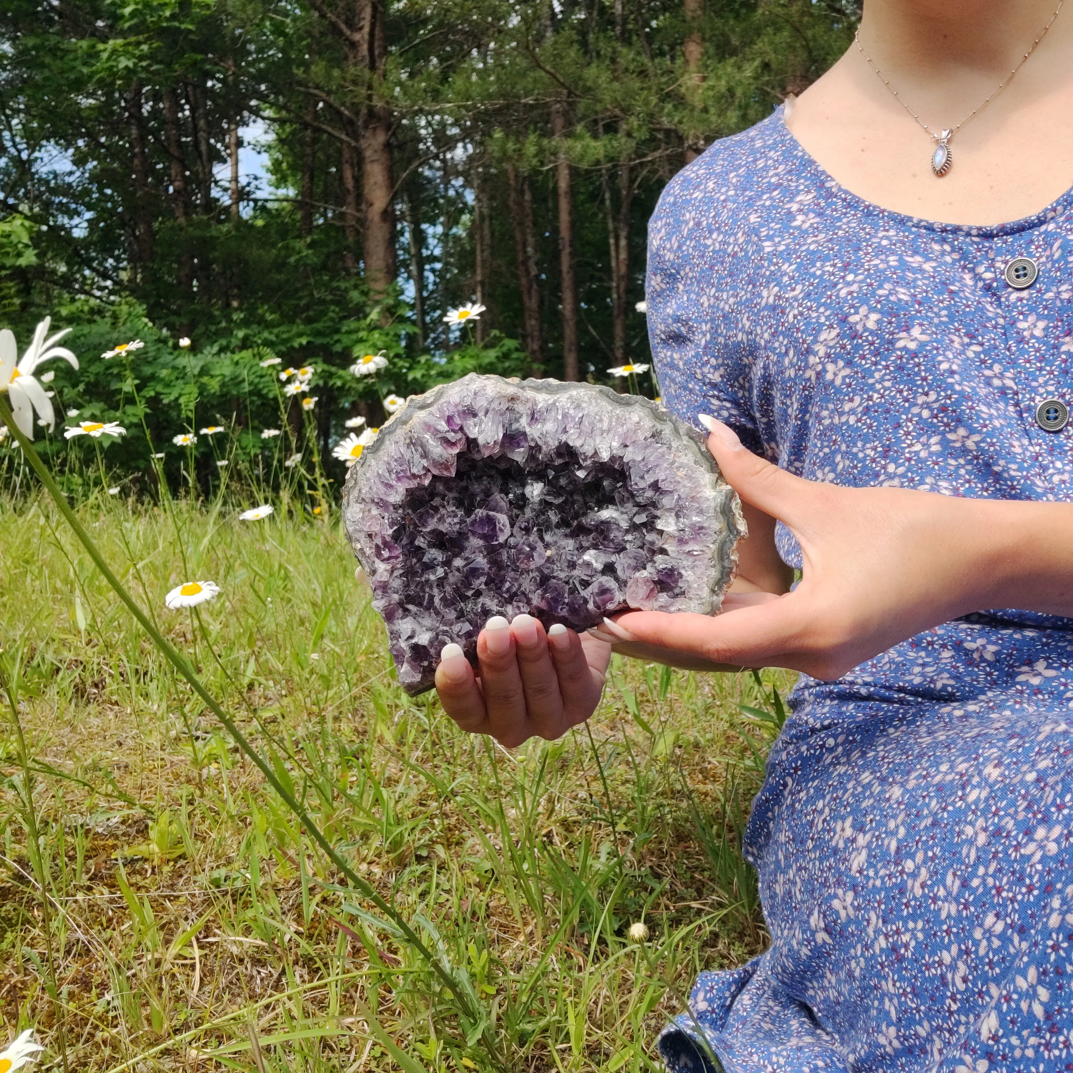 Amethyst Cluster (#10A)