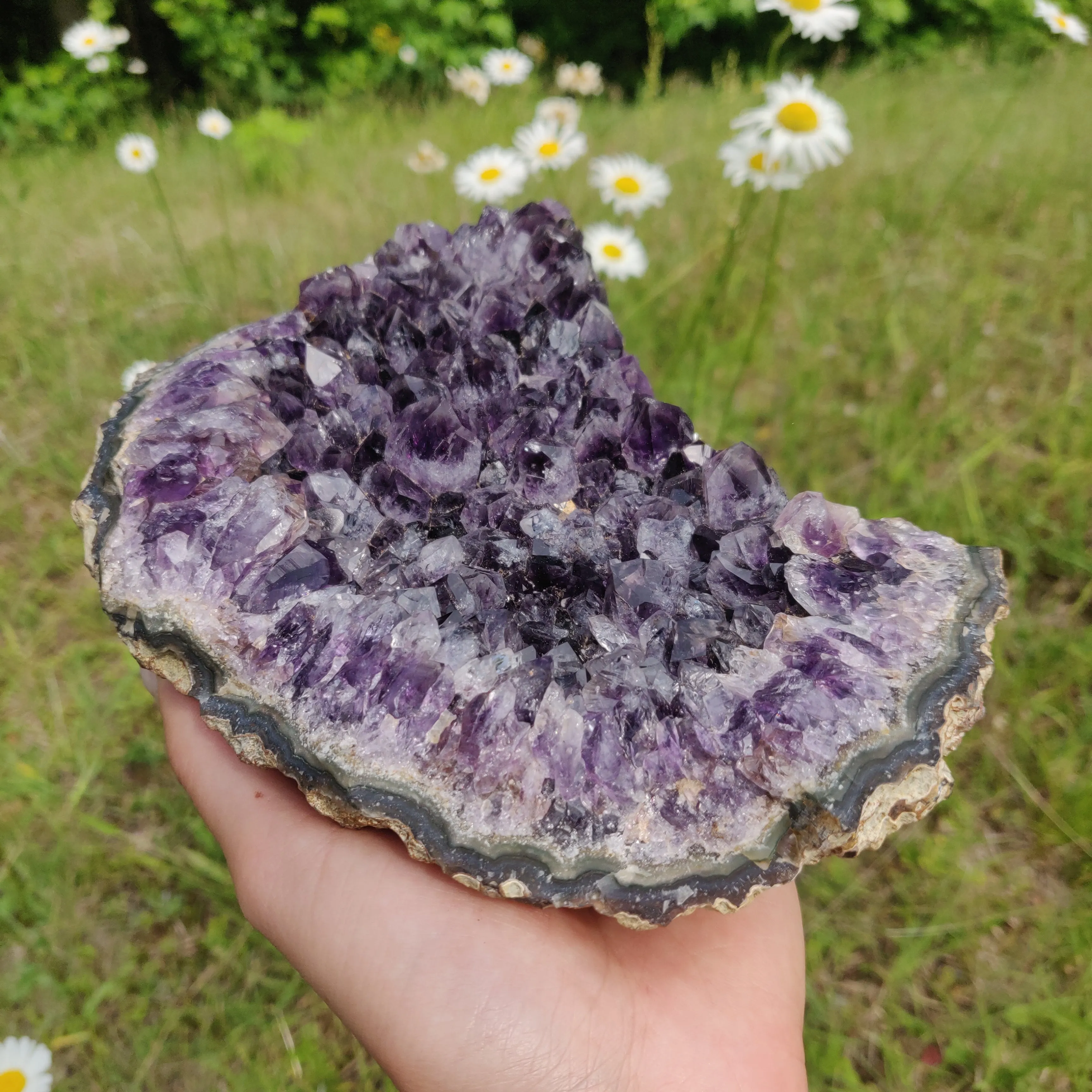 Amethyst Cluster (#10A)