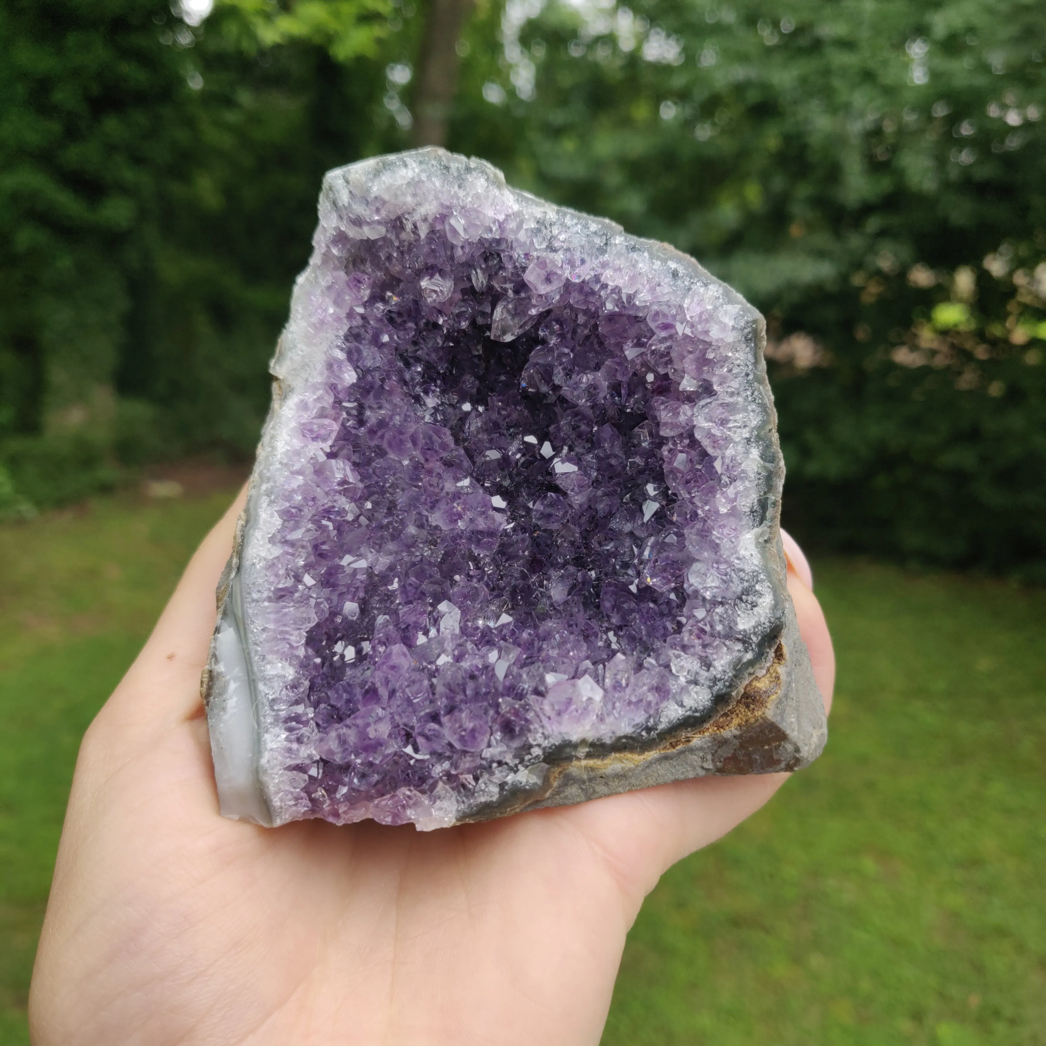 Amethyst Geode Free Form, Cut Base (#27)