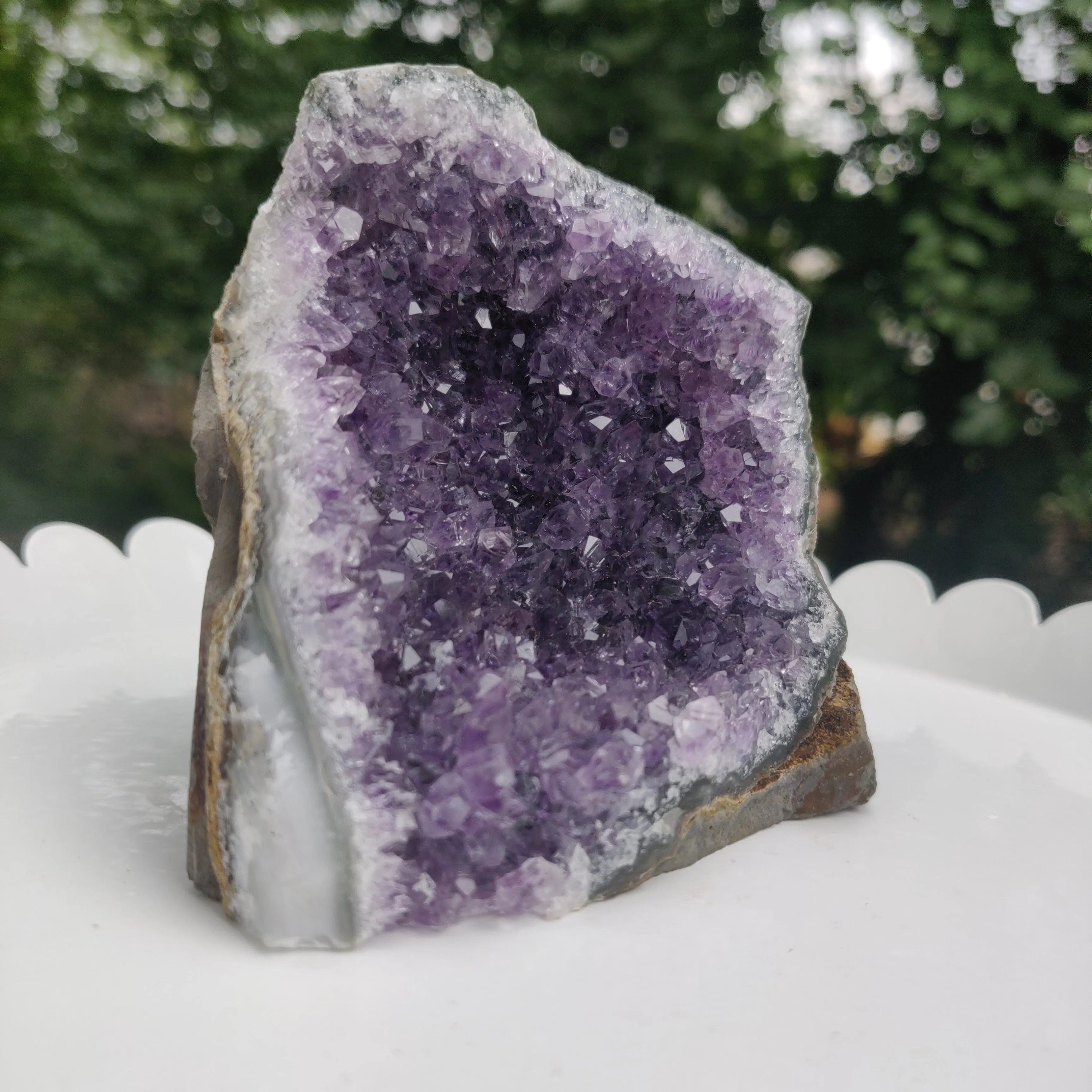 Amethyst Geode Free Form, Cut Base (#27)