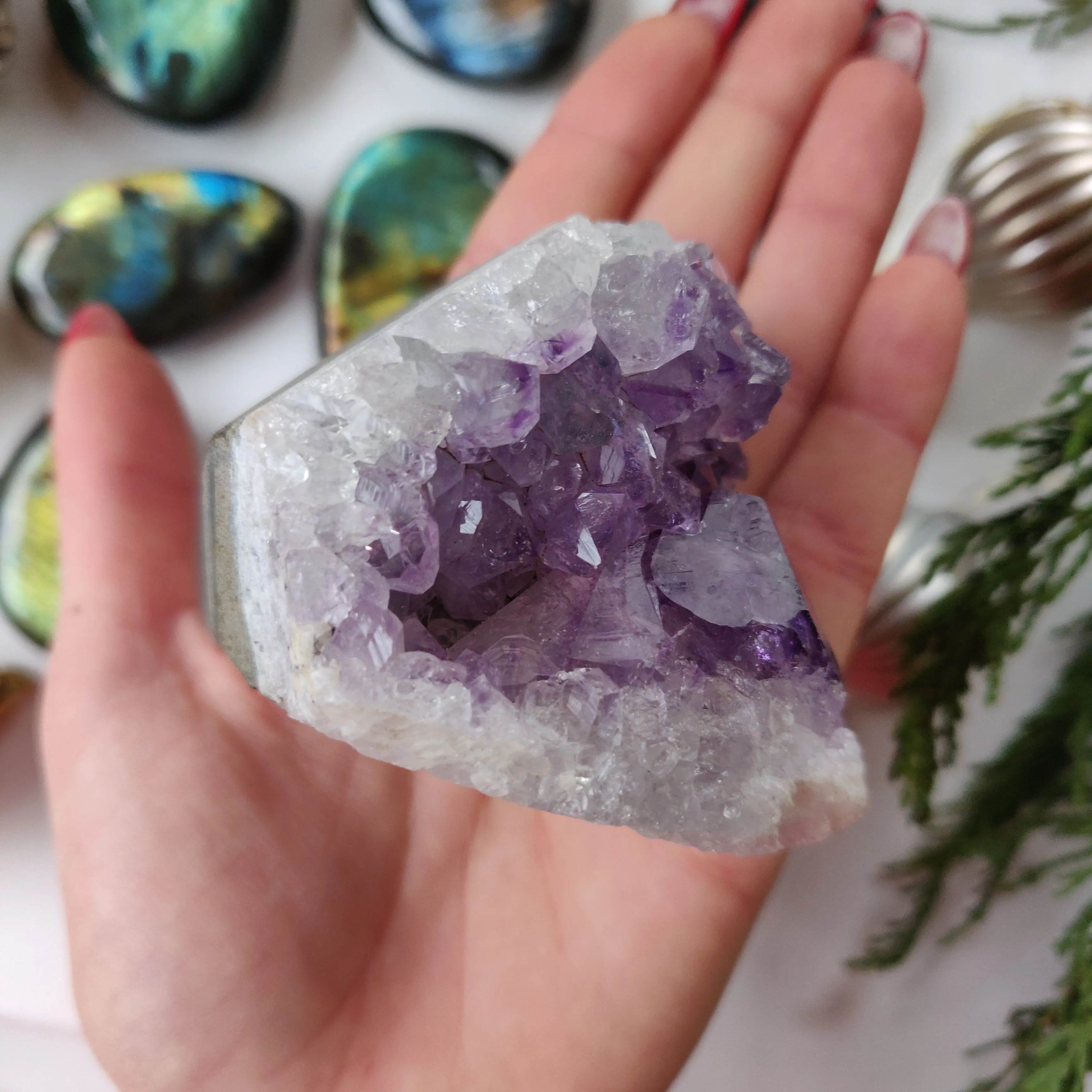 Amethyst Geode Free Form, Cut Base (#5)