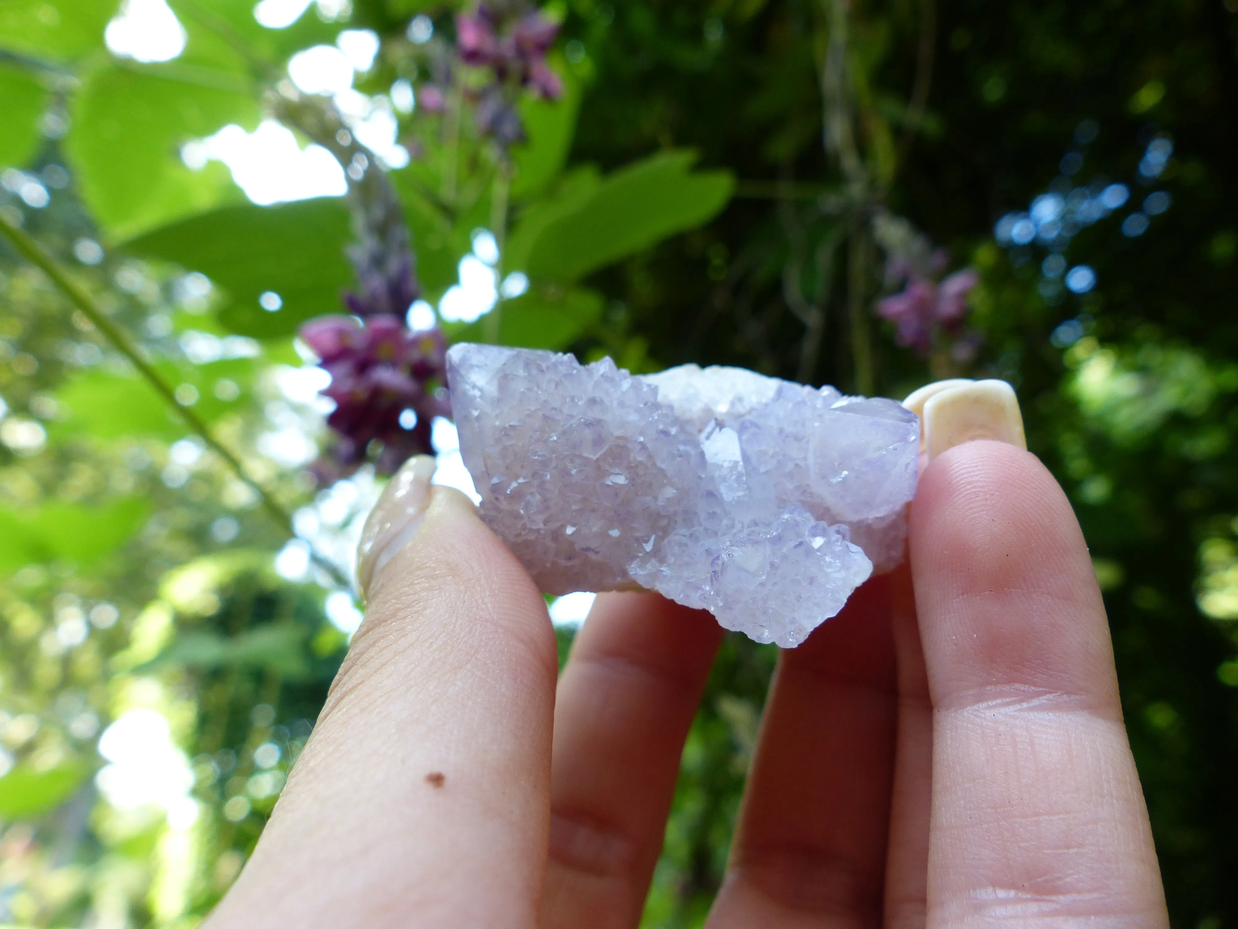 Amethyst Spirit Quartz Cluster, Amethyst Cactus Quartz (#4)