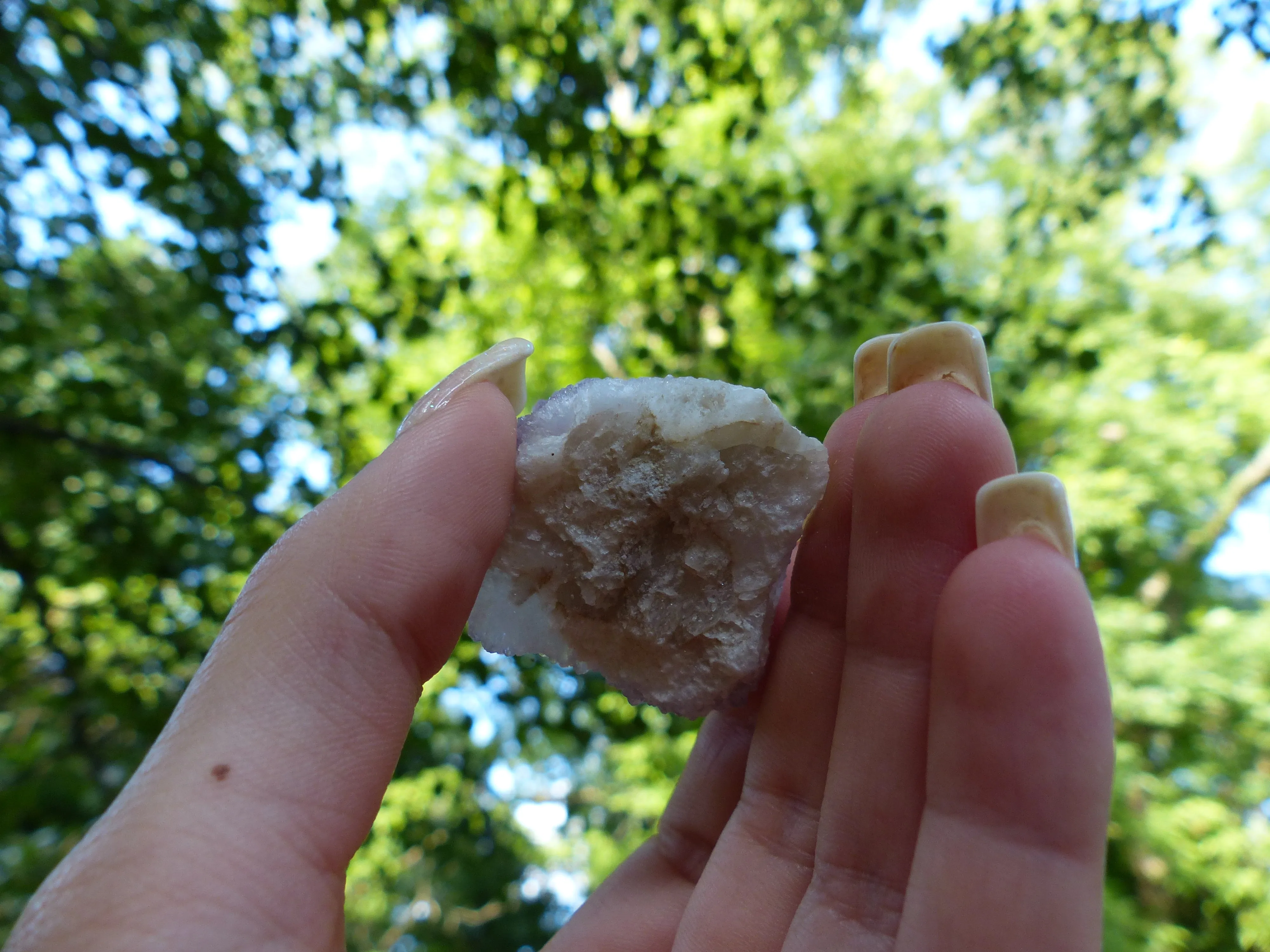 Amethyst Spirit Quartz Cluster, Amethyst Cactus Quartz (#4)