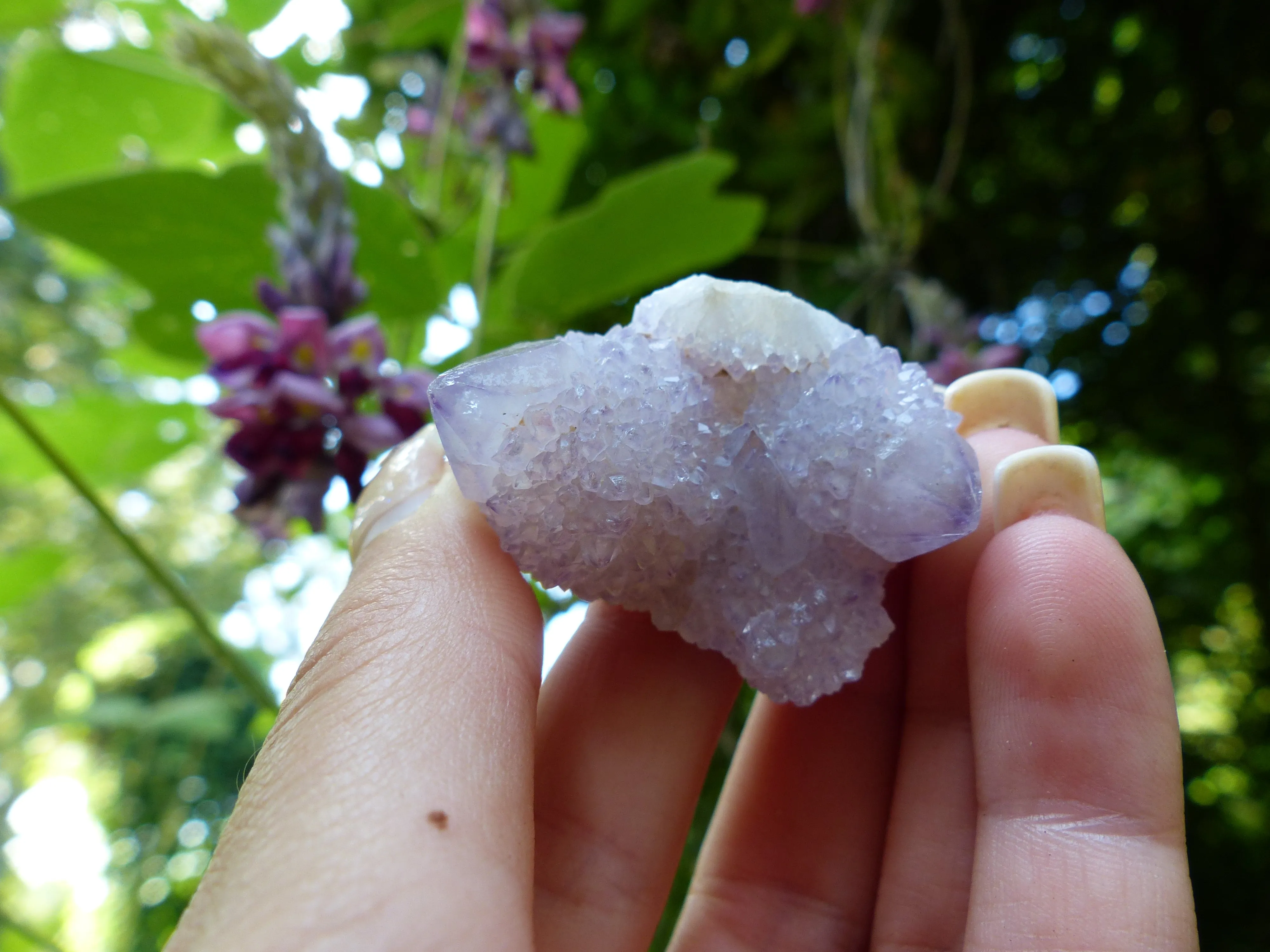 Amethyst Spirit Quartz Cluster, Amethyst Cactus Quartz (#4)