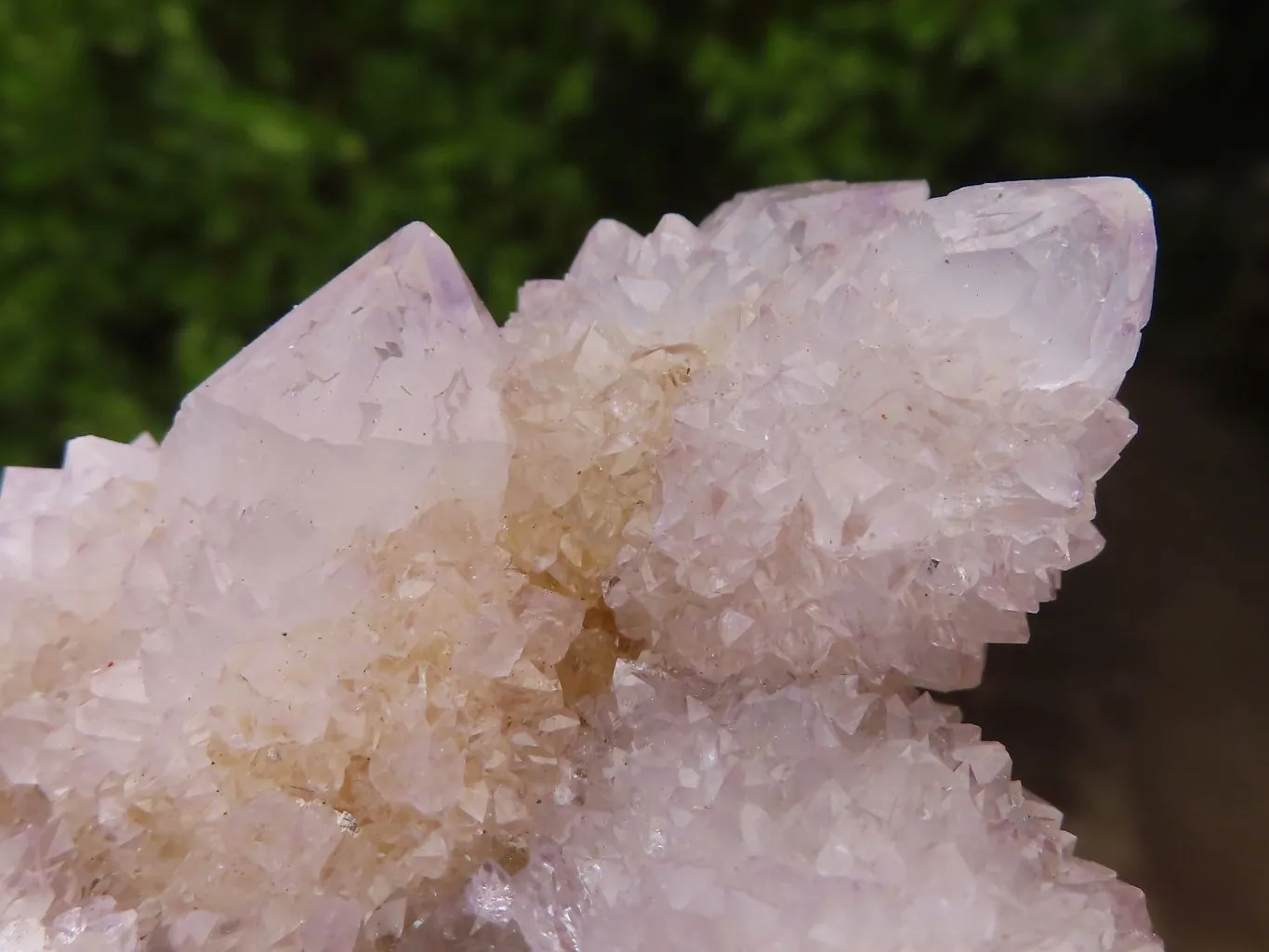 Natural Pale Spirit Ametrine Quartz Clusters x 6 From Boekenhouthoek, South Africa