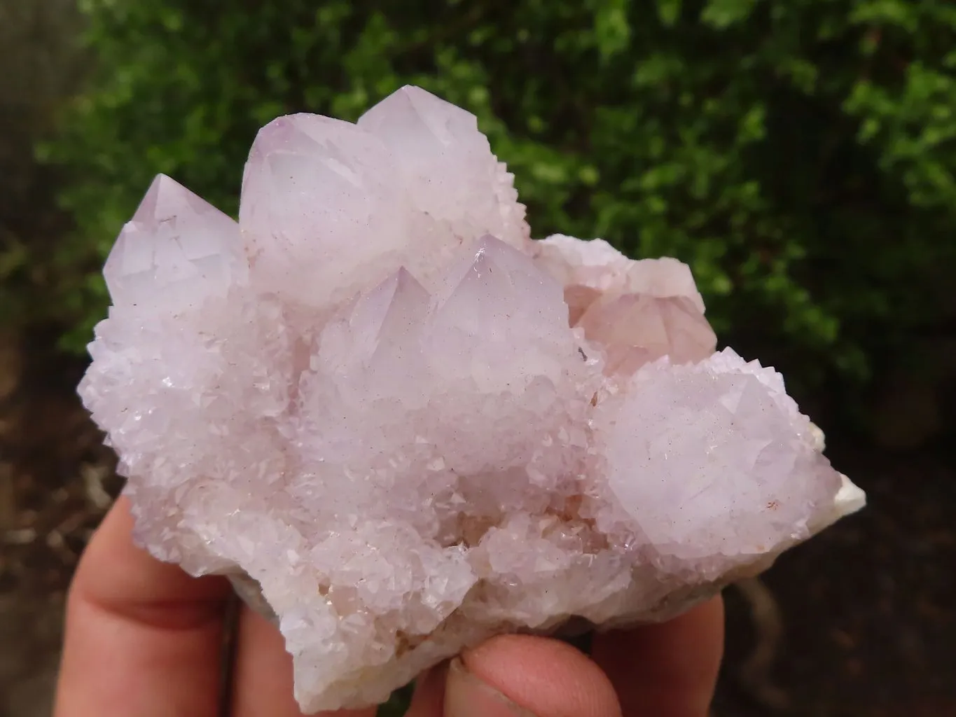 Natural Pale Spirit Ametrine Quartz Clusters x 6 From Boekenhouthoek, South Africa