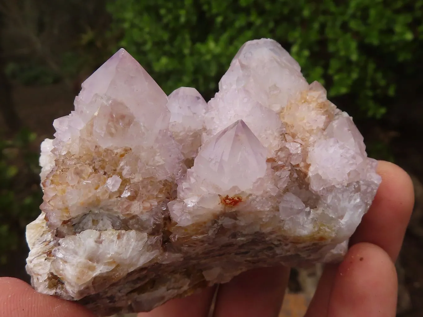 Natural Pale Spirit Ametrine Quartz Clusters x 6 From Boekenhouthoek, South Africa