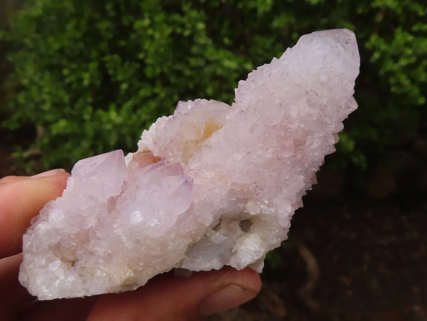 Natural Pale Spirit Ametrine Quartz Clusters x 6 From Boekenhouthoek, South Africa