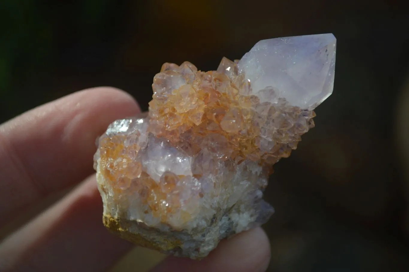 Natural Small Mixed Spirit Amethyst / Ametrine Specimens x 24 From Boekenhouthoek, South Africa