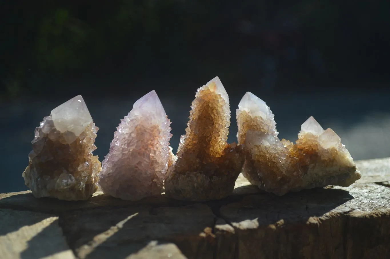 Natural Small Mixed Spirit Amethyst / Ametrine Specimens x 24 From Boekenhouthoek, South Africa