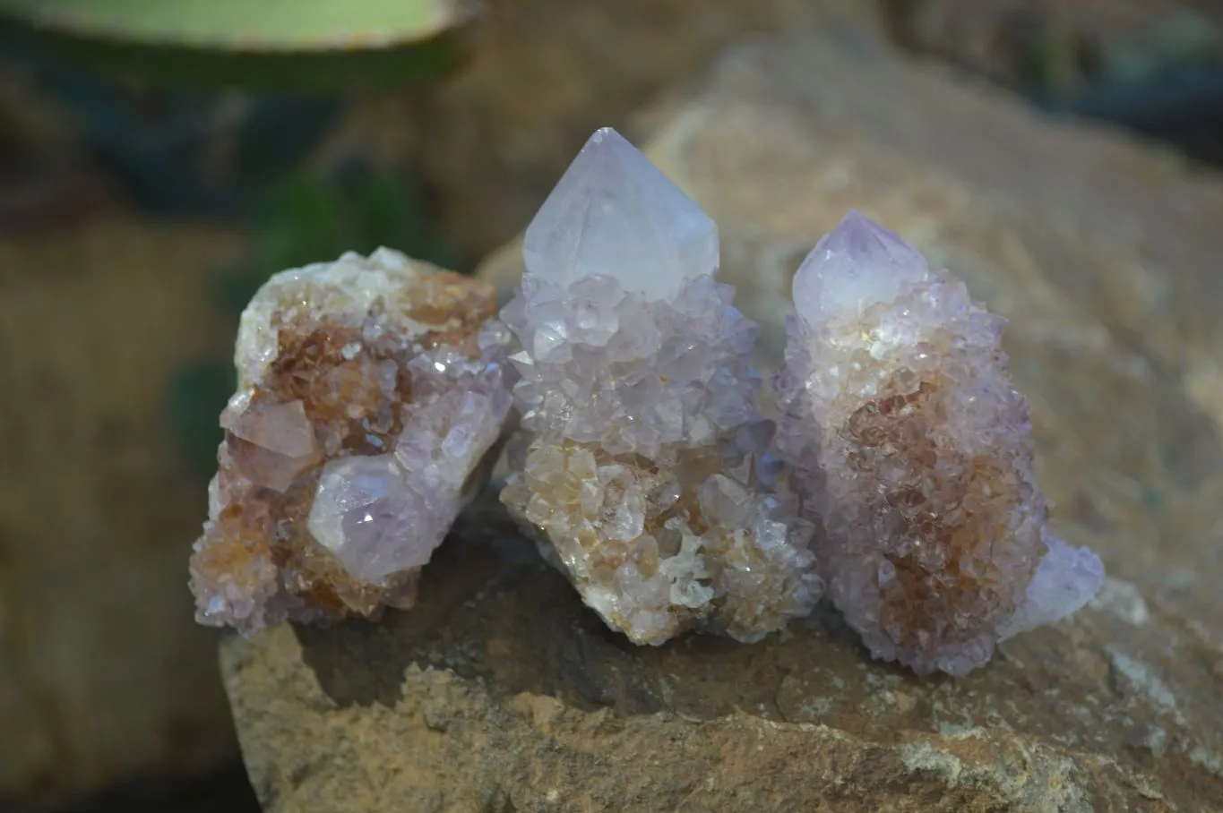 Natural Small Mixed Spirit Amethyst / Ametrine Specimens x 24 From Boekenhouthoek, South Africa