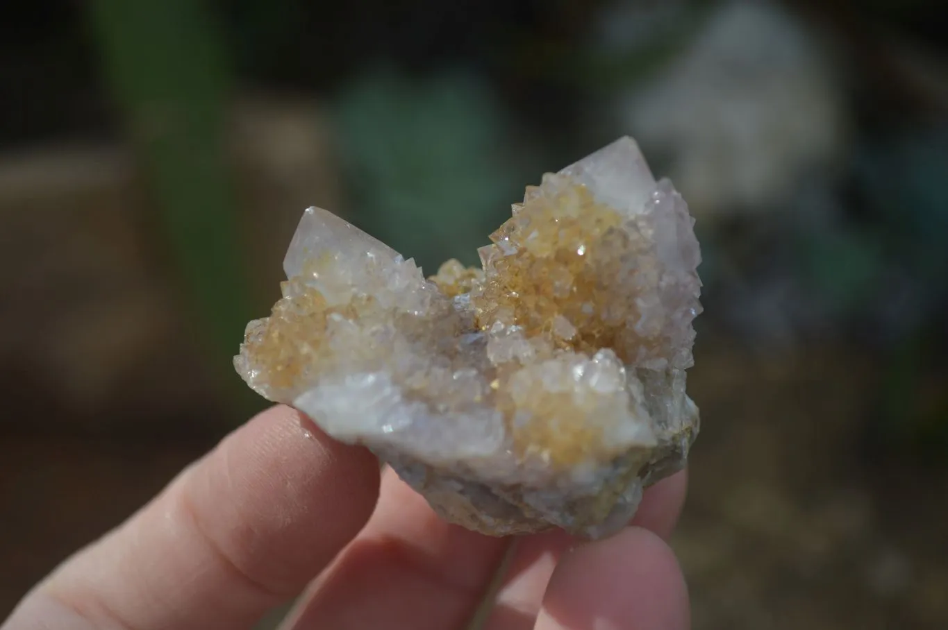 Natural Small Mixed Spirit Amethyst / Ametrine Specimens x 24 From Boekenhouthoek, South Africa