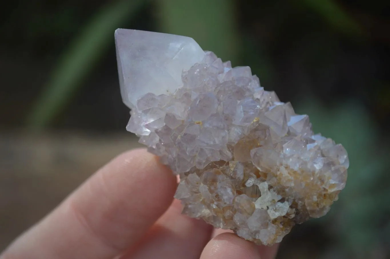 Natural Small Mixed Spirit Amethyst / Ametrine Specimens x 24 From Boekenhouthoek, South Africa