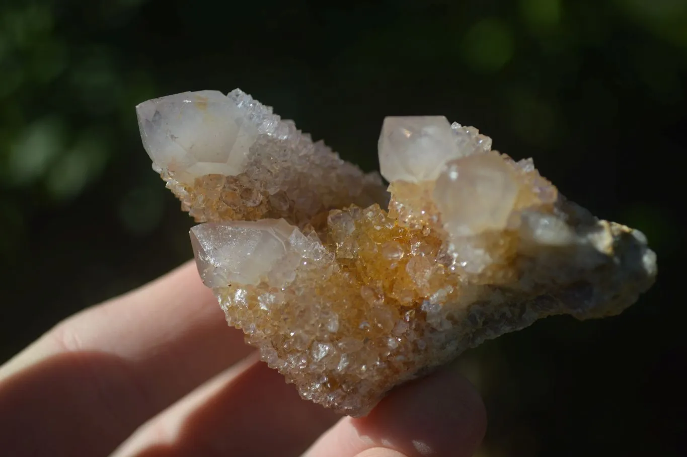 Natural Small Mixed Spirit Amethyst / Ametrine Specimens x 24 From Boekenhouthoek, South Africa