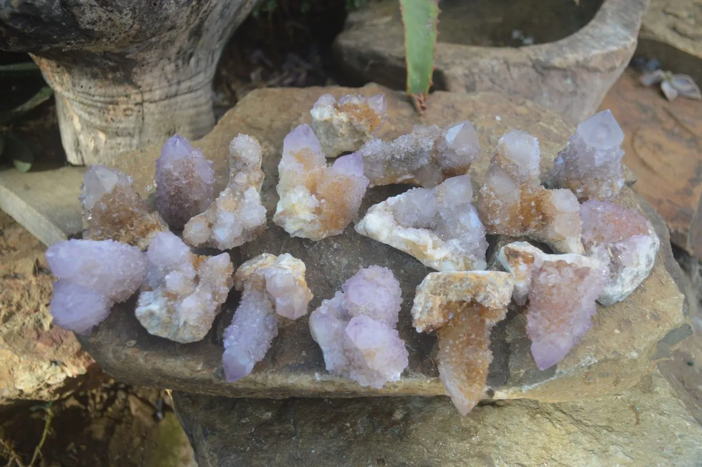 Natural Small Mixed Spirit Amethyst / Ametrine Specimens x 24 From Boekenhouthoek, South Africa