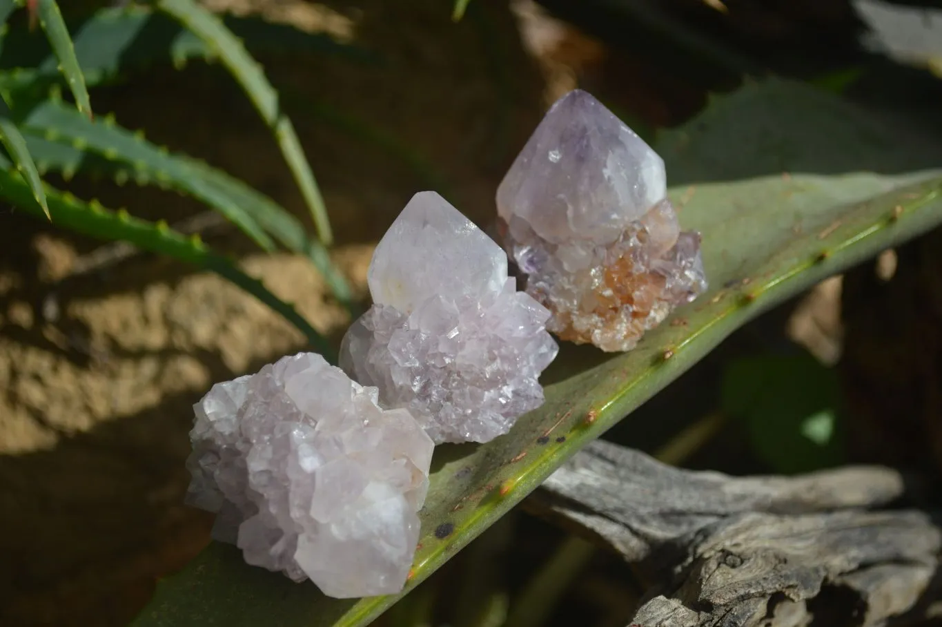 Natural Small Mixed Spirit Amethyst / Ametrine Specimens x 35 From Boekenhouthoek, South Africa