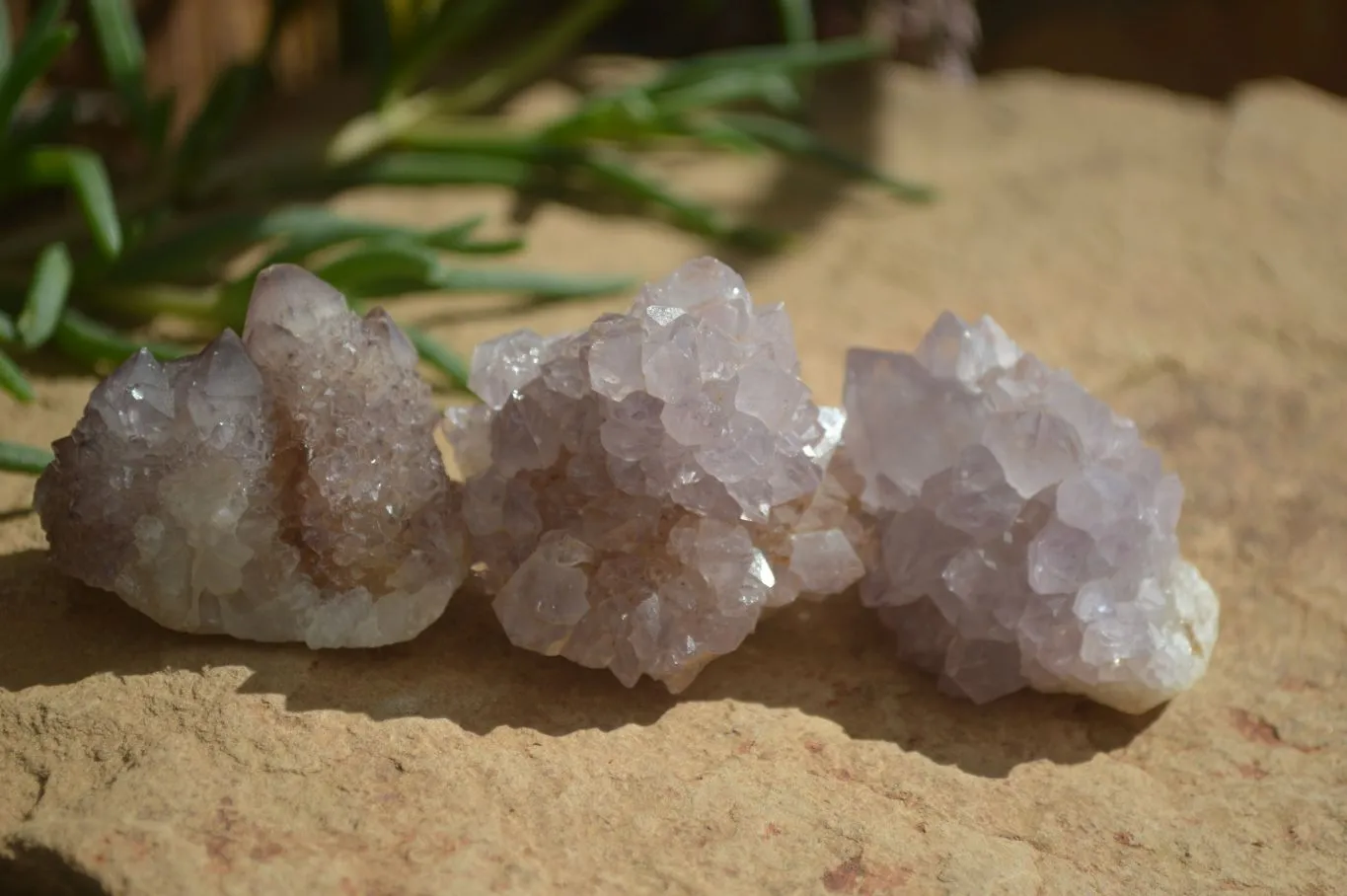 Natural Small Mixed Spirit Amethyst / Ametrine Specimens x 35 From Boekenhouthoek, South Africa