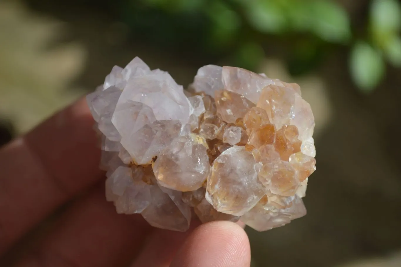 Natural Small Mixed Spirit Amethyst / Ametrine Specimens x 35 From Boekenhouthoek, South Africa