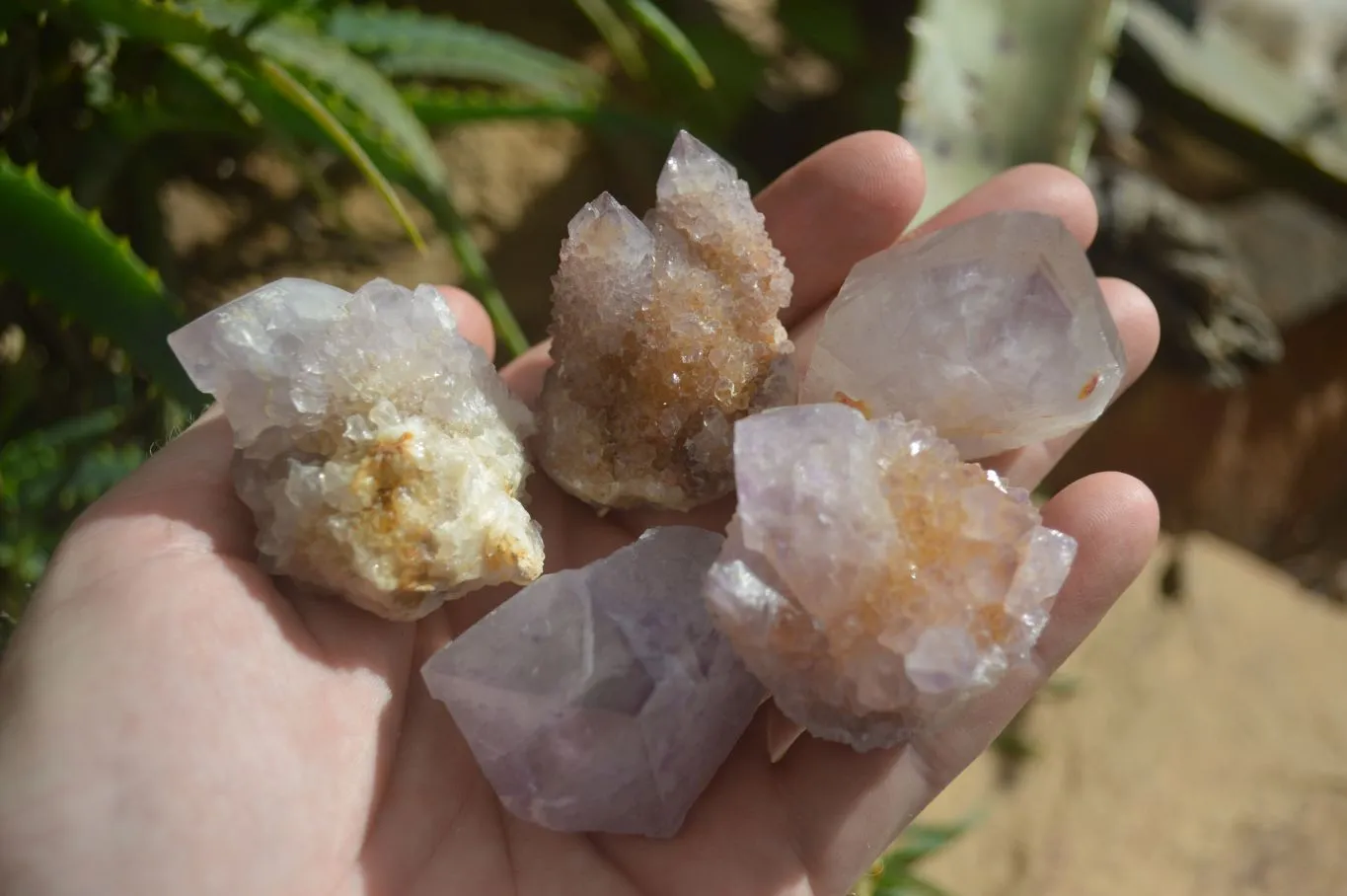 Natural Small Mixed Spirit Amethyst / Ametrine Specimens x 35 From Boekenhouthoek, South Africa