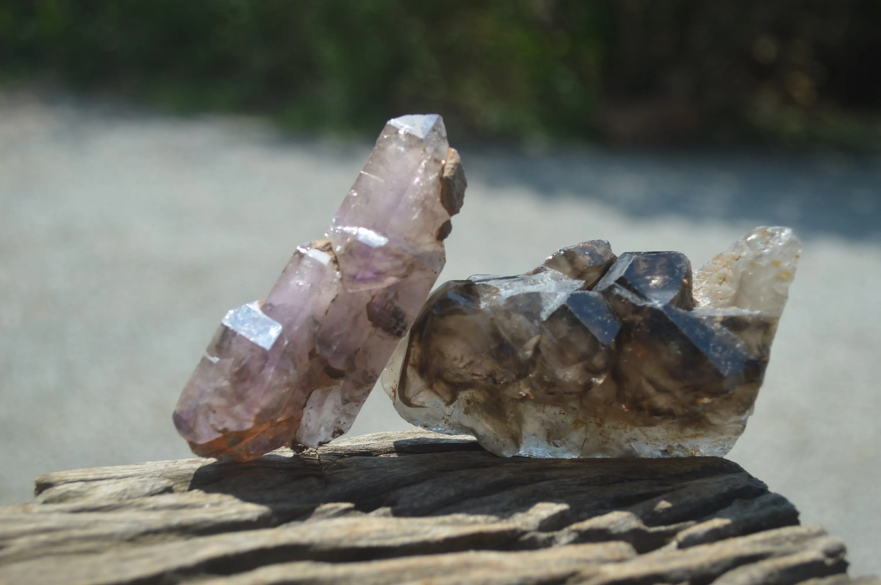 Natural Smokey Window Amethyst Crystals x 6 From Chiredzi, Zimbabwe