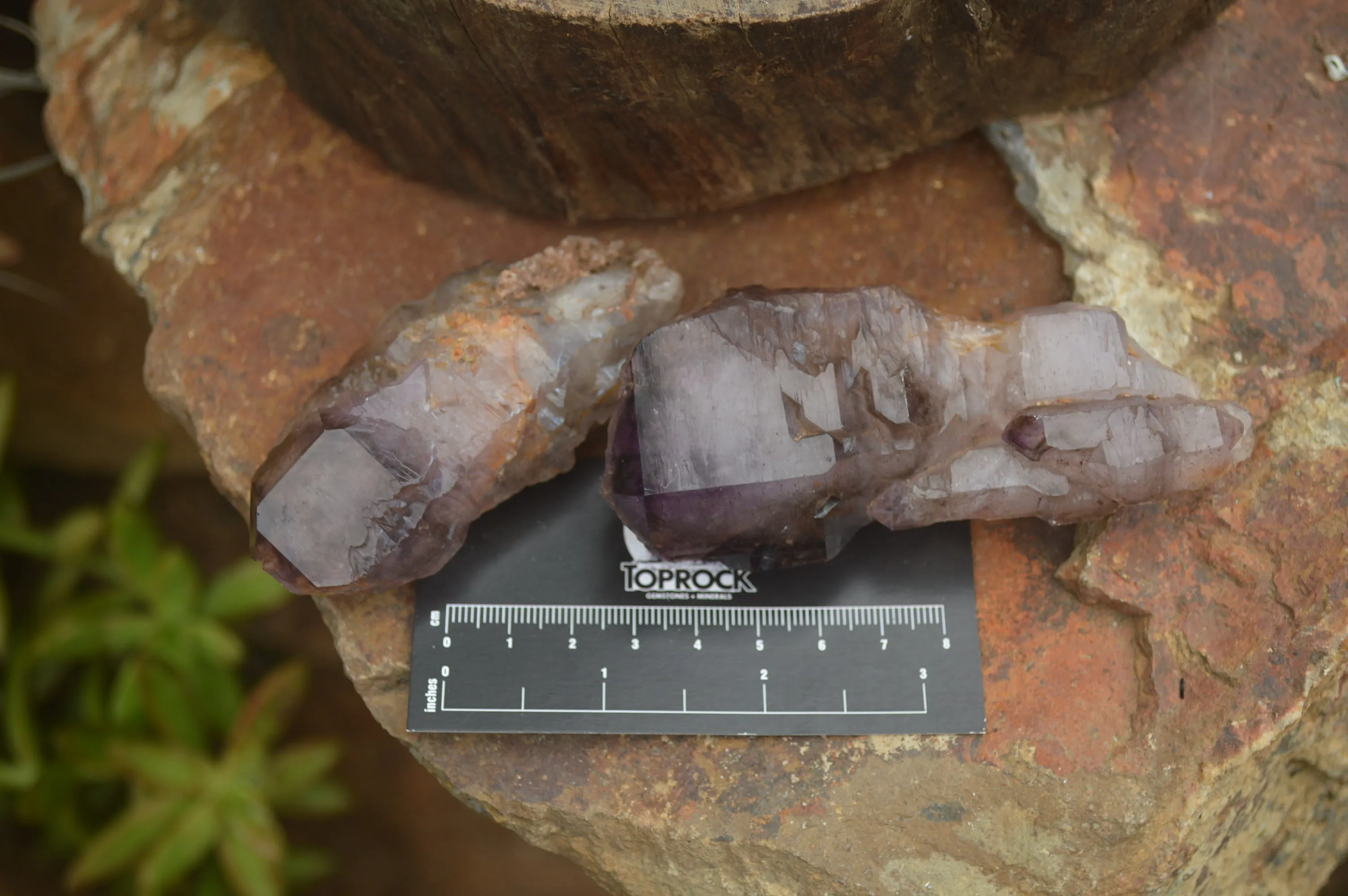 Natural Smokey Window Amethyst Crystals x 6 From Chiredzi, Zimbabwe