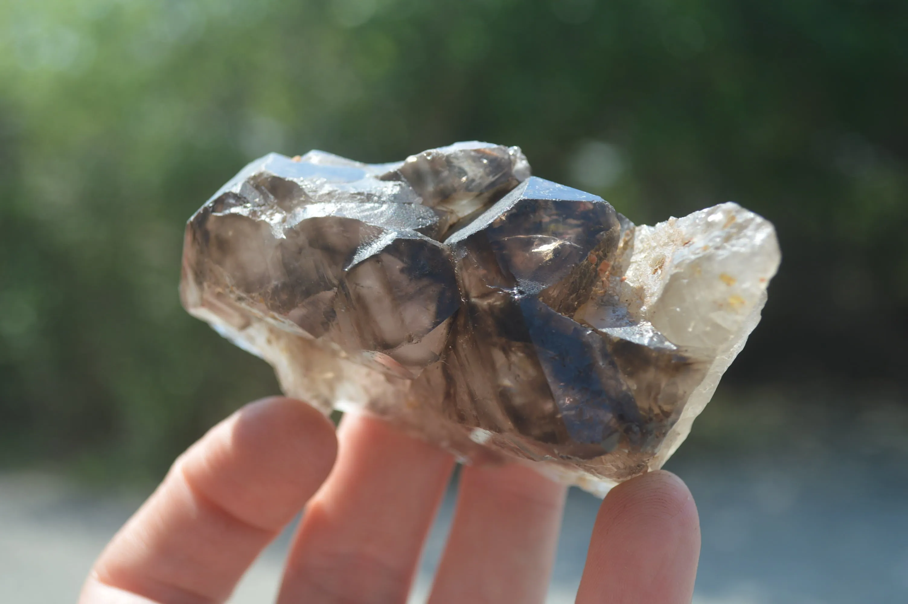 Natural Smokey Window Amethyst Crystals x 6 From Chiredzi, Zimbabwe