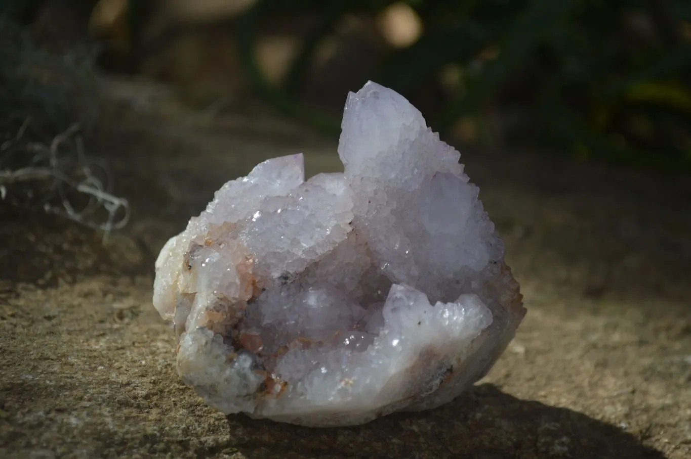 Natural Spirit Amethyst / Ametrine Quartz Clusters x 6 From Boekenhouthoek, South Africa