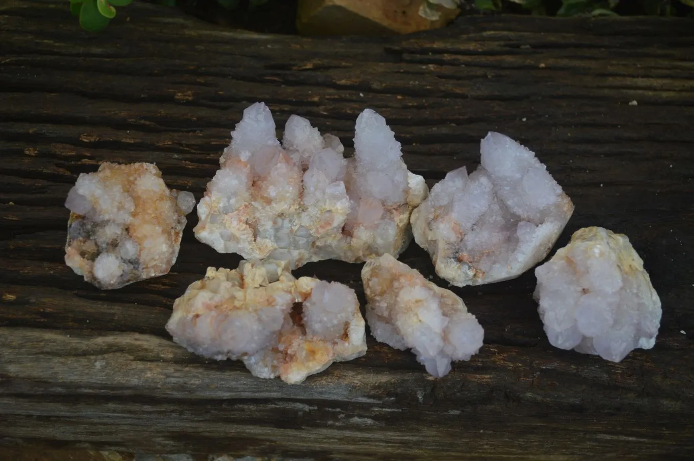 Natural Spirit Amethyst / Ametrine Quartz Clusters x 6 From Boekenhouthoek, South Africa