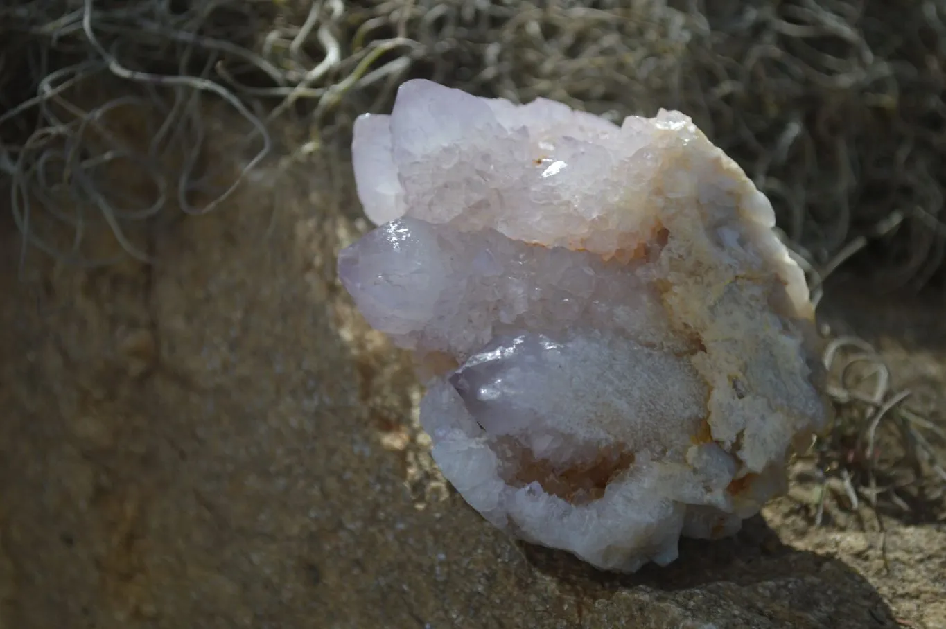 Natural Spirit Amethyst / Ametrine Quartz Clusters x 6 From Boekenhouthoek, South Africa