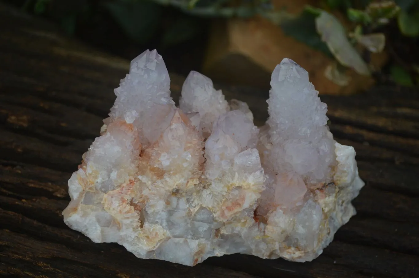 Natural Spirit Amethyst / Ametrine Quartz Clusters x 6 From Boekenhouthoek, South Africa