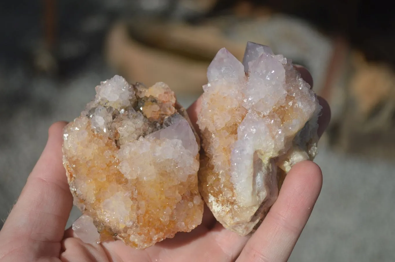 Natural Spirit Amethyst / Ametrine Quartz Clusters x 6 From Boekenhouthoek, South Africa