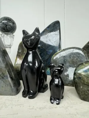 Witch's Way Craft Onyx Crystal Cat